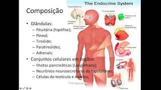 Histologia do Sistema Endócrino [upl. by Akcinehs]