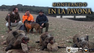 “MONTERIA LA PAVONA CON MONTERÍAS RIQUELME” En Abenojar  Ciudad Real [upl. by Ramirolg]