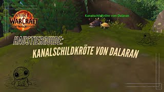 WoW Guide The War Within  Kampfhaustier Kanalschildkröte von Dalaran  Pet Guide [upl. by Ahsienat]