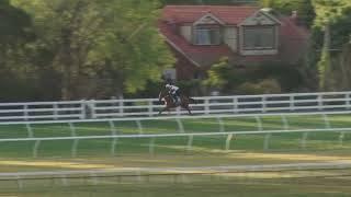 15 October Gallops Gallop 6 [upl. by Novel713]