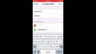 How To Manually Configure DNS on iPhone and iPad [upl. by Iruj940]