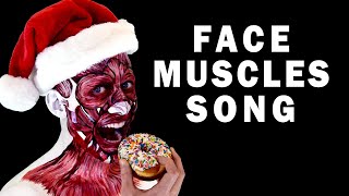 MUSCLES OF FACIAL EXPRESSION AND MASTICATION SONG [upl. by Adams220]