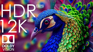 12K HDR 120fps Dolby Vision with Calming Music Animal Colorful Life [upl. by Ilrebmyk663]