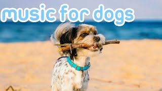 Soothing Music to Relax My Dog 20 HOURS No Ads [upl. by Ivo90]