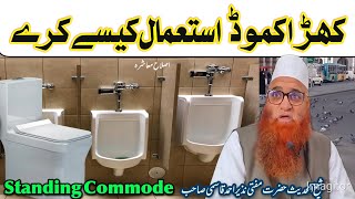 Standing Commode istimal k se kare Sheikh ul Hadees Mufti Nazir Ahmad Qasmi SB [upl. by Nonnerb]