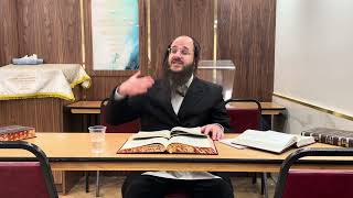 Mishnah Berurah 268 Rabbi Yosef Halpert [upl. by Auqinaj620]