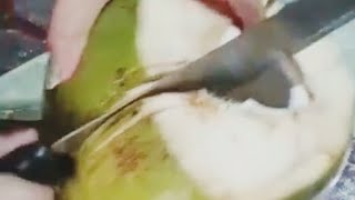 Opening Fresh coconut 🥥not that easy asmrcutttingskills [upl. by Oran496]