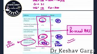 Prerenal Vs Renal Acute Kidney Injury [upl. by Gilroy]