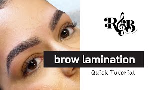 Thuya Brow Lamination  Tint Tutorial [upl. by Kit]