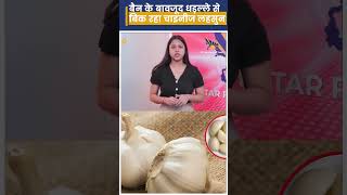 Ban के बावजूद धड़ल्ले से बिक रहा Chinese Garlic। [upl. by Ahsemac]