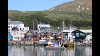 Húsavík Iceland Whale Watching [upl. by Adliwa]