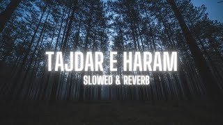 Tajdar e Haram  Atif Aslam  slowed amp reverb  alquranictreasure [upl. by Carlita]