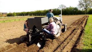 Potato Planting wih a Ferguson TEF20 and Ferguson Potato Planter [upl. by Jecho]