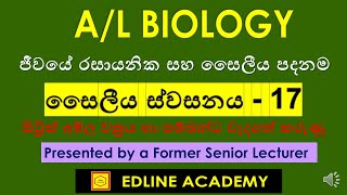 Important Facts of Citric Acid Cycle Cellular Respiration 17 Advanced Level Biology Sinhala Lessons [upl. by Peti793]