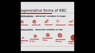 Anisocytosis  Symptoms and Causes  Diagnosis  Treatment  Prevention healthcare [upl. by Monteria]