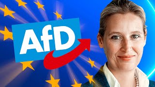 AfD Europawahlprogramm einfach erklärt  2024 [upl. by Royal]