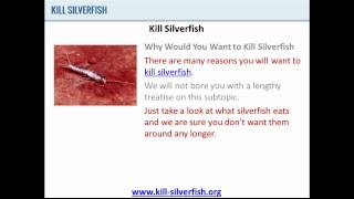 Kill Silverfish  Why You Should Kill Silverfish [upl. by Tessa146]