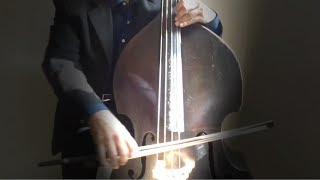 Gabriels OboeBrody DelestreDouble bass [upl. by Donald373]