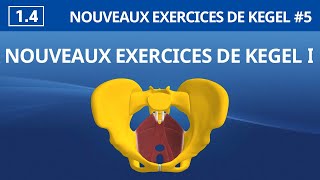 14 Nouveaux Exercices de Kegel Ⅰ  Exercices de Kegel faciles et efficaces [upl. by Brunhilde]