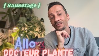 73Sauvetage plante  rempotage et Blabla plantaddict [upl. by Nommad]