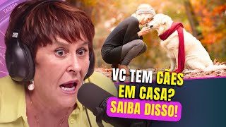 Os CÃES e a ESPIRITUALIDADE  Márcia Sensitiva [upl. by Renard282]