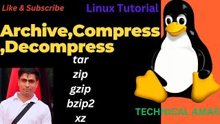 Linux Archive and Compression tar zip gzip bzip2 and xz commands in Linux explained practically [upl. by Yltnerb]