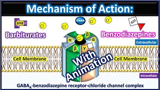 Barbiturates and Benzodiazepines Mechanism of action with animation [upl. by Noleta]