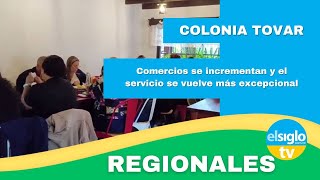 Comercios de la Colonia Tovar se incrementan y el servicio se vuelve más excepcional [upl. by Nerej]