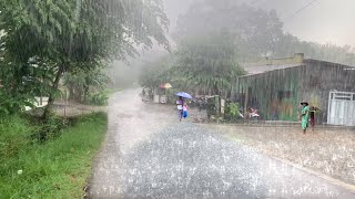 HEAVY Rain and Thunderstorms in the Beauty Village Red soil  ASMR 99 Wind Rain to Cure Insomnia [upl. by Kcirtap]