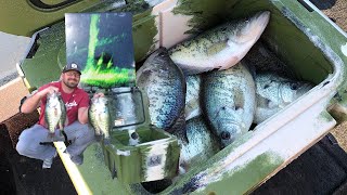 Catching GIANT crappie on Lake Hudson off standing timber using Garmin Livescope 7616 GPSMAPS [upl. by Elston]