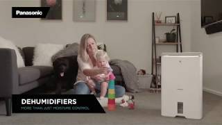 Panasonic Dehumidifiers  More than Just Moisture Control [upl. by Artemas]