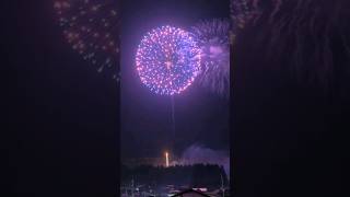 Dynamic Fireworks Compilation [upl. by Onitsoga]