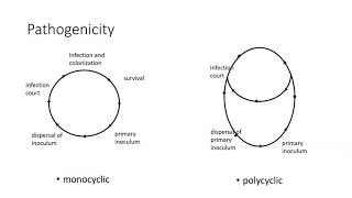 Disease cycles  mono and polycyclic [upl. by Ahcurb312]