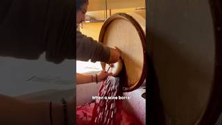 Why are Wine Barrels Sanitized [upl. by Clovah]