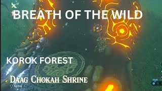 DAAG CHOKAH Shrine  Korok forest The legend of ZeldaBreath of the wild [upl. by Aynotal]