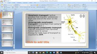 2 types of supporting cells in neuron Glia and Schwann cells in urduhindi lec [upl. by Audrye]