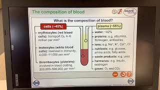 KS4GCSEBIOLOGYcomposition of blood [upl. by Eiboh]