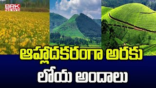 ఆహ్లాదకరంగా అరకు లోయ అందాలు  Visakhapatnam City in Andhra Pradesh  BRK News [upl. by Jovi]