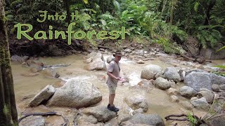 Into The Rainforest Mossman Gorge Daintree QLD [upl. by Tombaugh997]