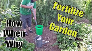 How To Fertilize Your Garden The Correct Way  How When amp Why [upl. by Good]