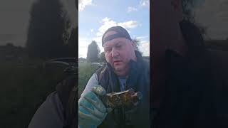 Magnet fishing Langport part 1 [upl. by Naval]