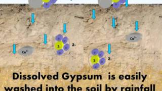 Other uses for Gypsum [upl. by Lenette526]