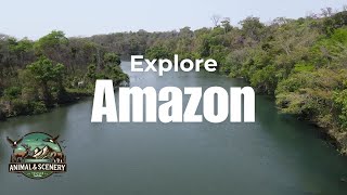 Amazon Wonders Revealed The Ultimate Guide for Adventurous Travelers [upl. by Aicargatla]