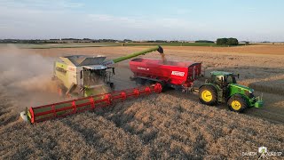 🌾 Moisson 2024 🌾  CLAAS Lexion 8700 TT amp JD 6250R amp PERARD interbenne 46 M3  SARL Dendauw [upl. by Blakelee]