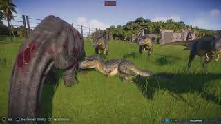 Jurassic World Evolution 2 Apatosaurus vs a pack of Albertosaurus [upl. by Dillie]