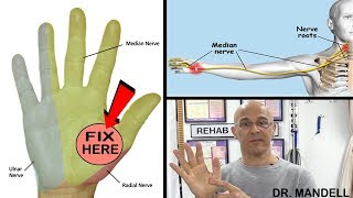 ✋ TRY THISMYOFASCIAL HAND RELEASE TO FIX NECK PAIN  Dr Alan Mandell DC [upl. by Eves]