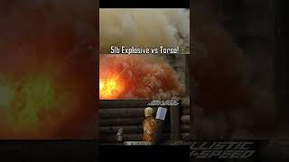 5lb Explosive vs Ballistic Torso [upl. by Yenffit205]