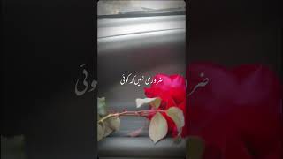 Trazoo Sirf Wazan Bta Skta Hai Meyaar Nhi poetry trending viralvideo youtubeshorts shortvideo [upl. by Eegnat]