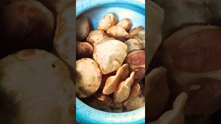 Atta Puri recipe how to make soft Atta Puri foodshortsshorts [upl. by Ecire163]