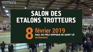 Présentation des étalons trotteurs 2019  Part1 [upl. by Froh479]